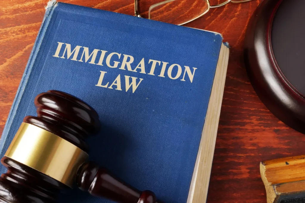 Choose the Right Immigration Litigation Attorney in New York